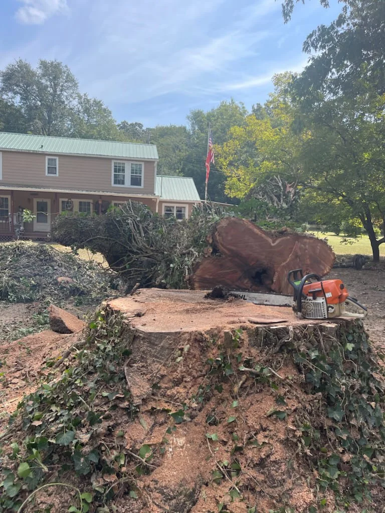 stump grinding quiroz