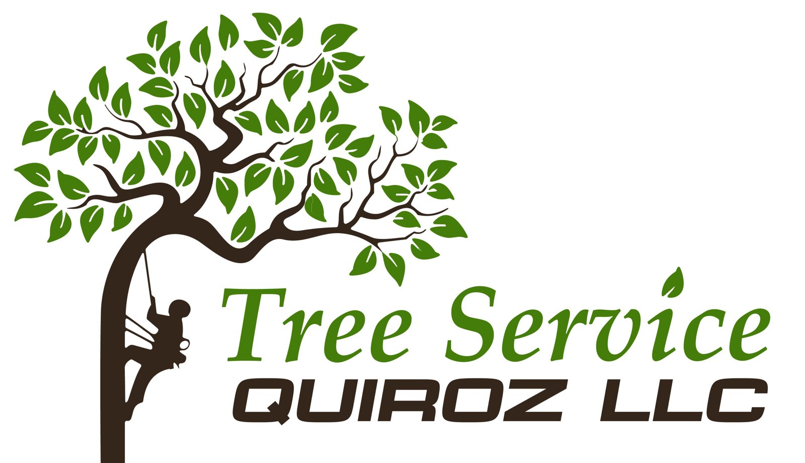 logo Mesa de trabajo 1 copia 2