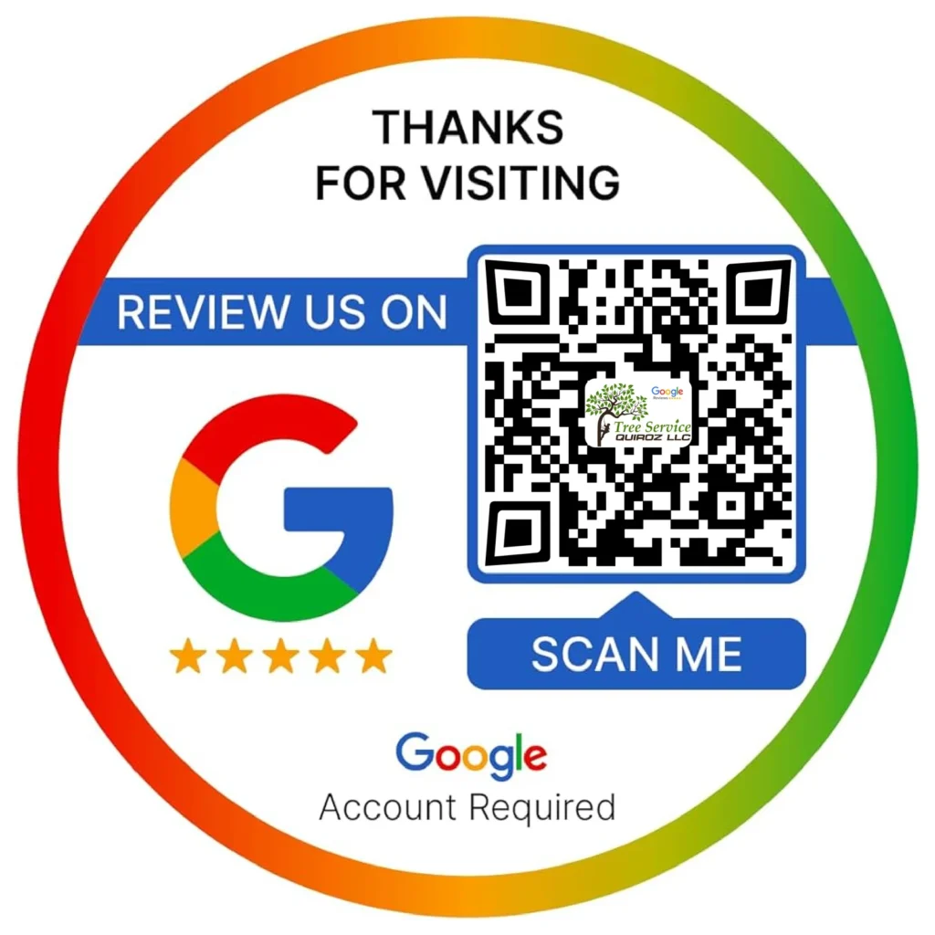 qr codigo google 01