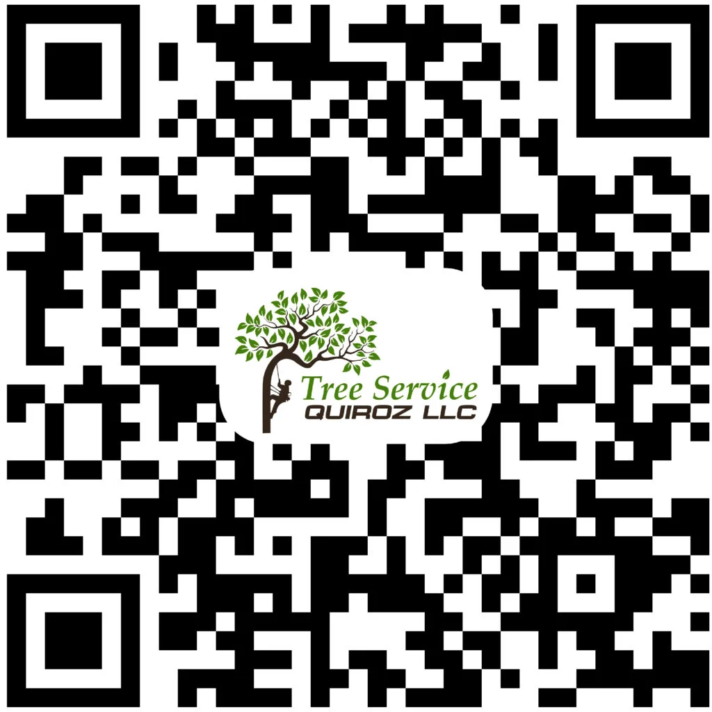 tree services qr